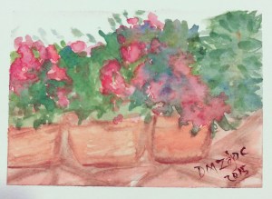 Impatiens II Watercolor