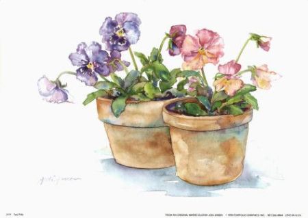 Jodi Jensen Watercolor Impatiens