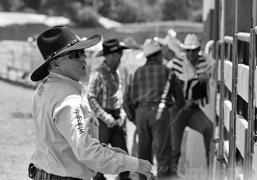 Monochrome Madness 2 18 of 52 The Wrangler