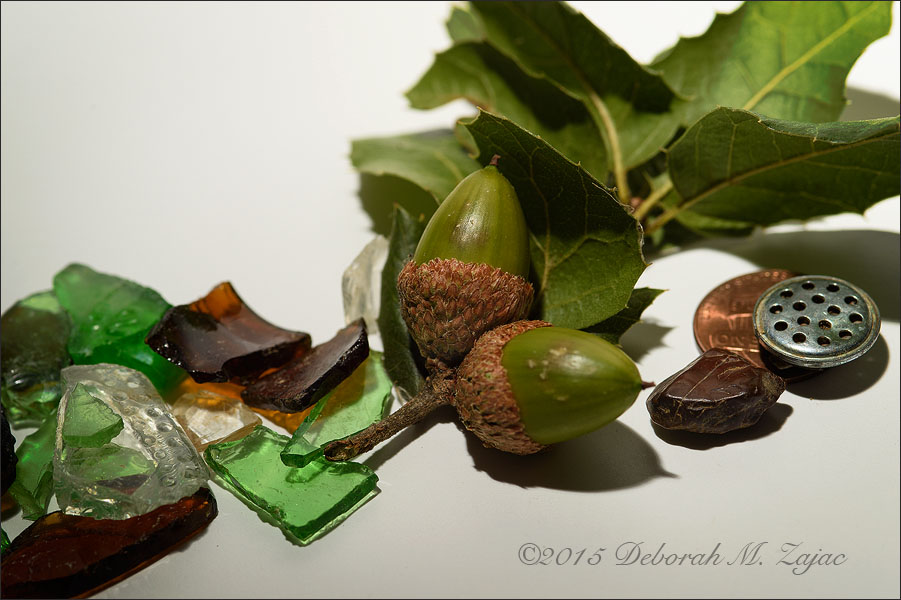 P52 27 of 52 Treasures from the Trail