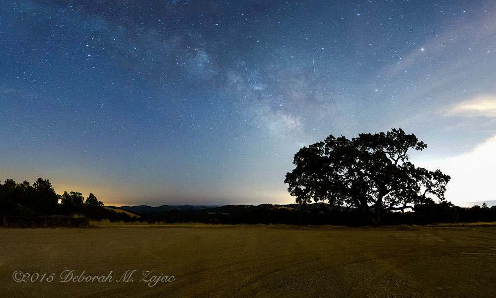 In the Light of Scorpius