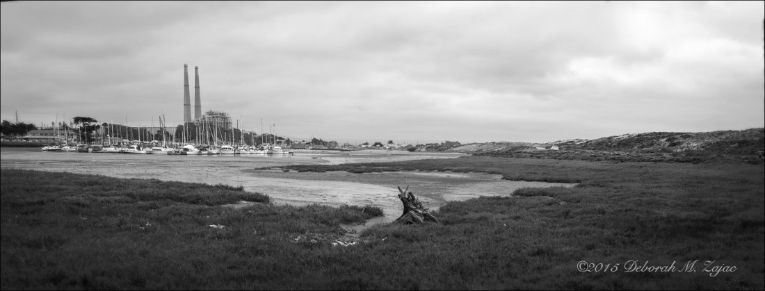 MM2 24 of 52 Moss Landing Low Tide