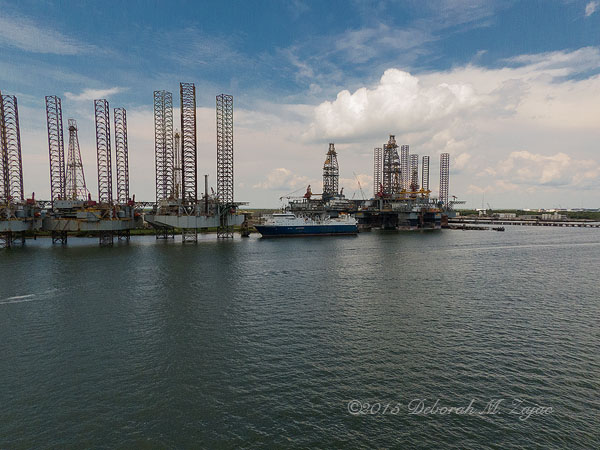 Western Monarch Galveston TX Port_2115