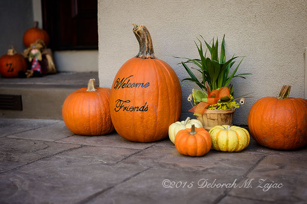 Halloween Decorations