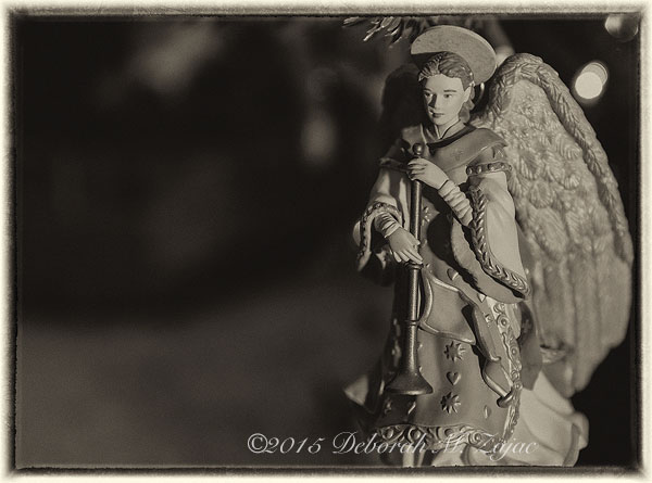 Monochrome Madness 2 37 of 52 Angel