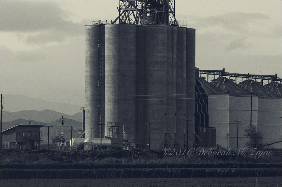 MM2 42 of 52 Rice Silos Sacramento Valley CA