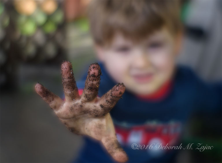 Playing in the Mud after a Morning Rain