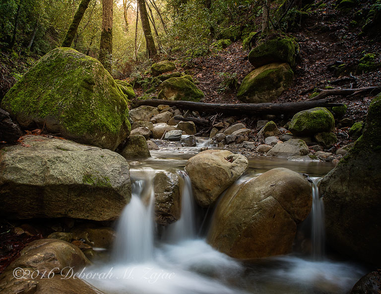 Swanson Creek Cascade