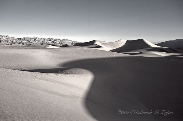 Monochrome Madness 2 43 of 52 Curves