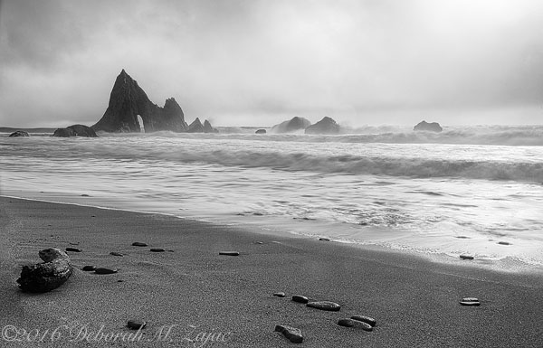 The Fog Rolls in Martin's Beach, CA