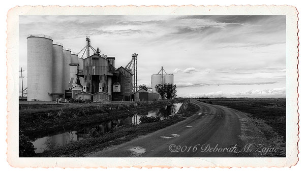 Monochrome Madness 2 48 of 52 Silos