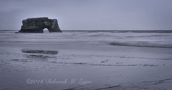 Natural Bridge State Beach Monochrome