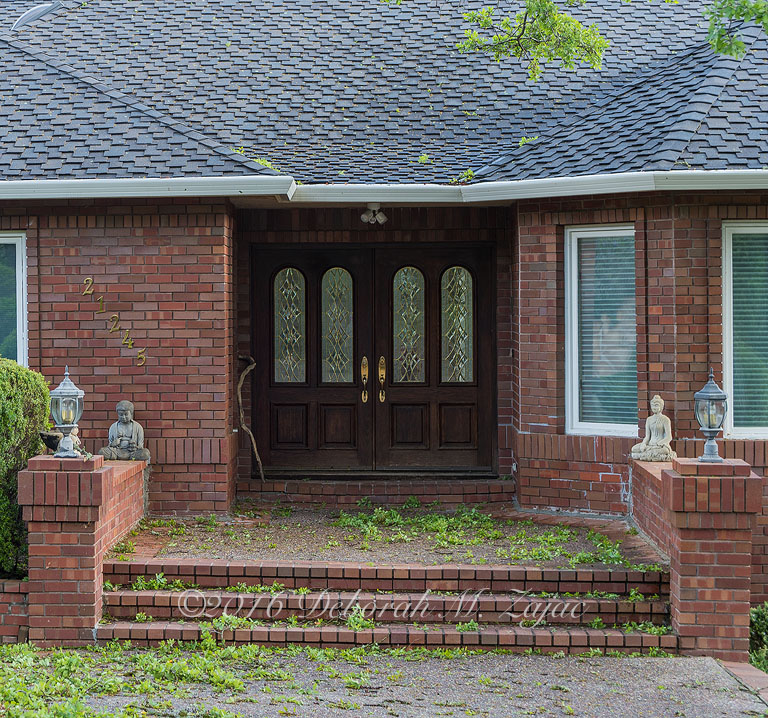 Nº21245 After the Storm