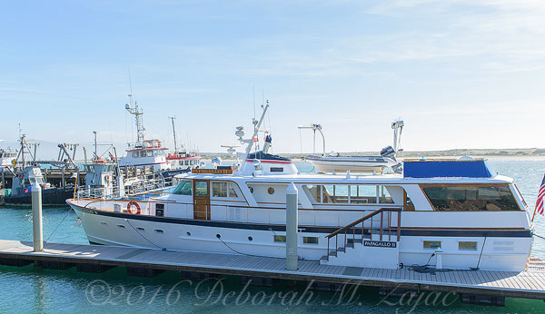 Papagallo II, Morro Bay, CA