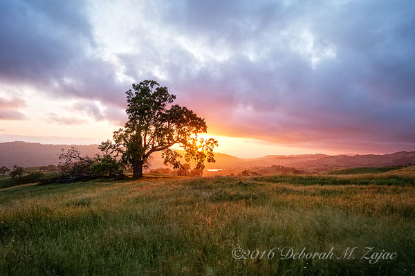 Landscape Photography