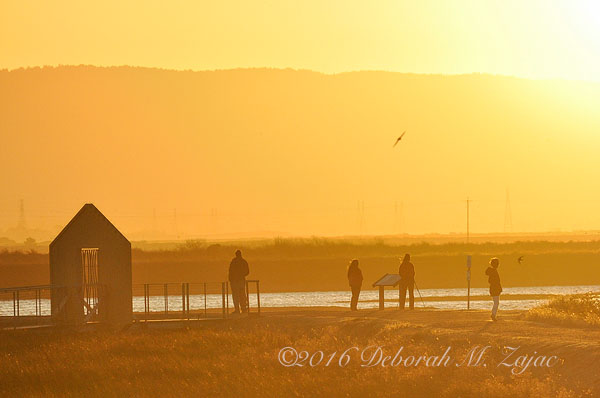 Alviso Golden Hour Fall 2009