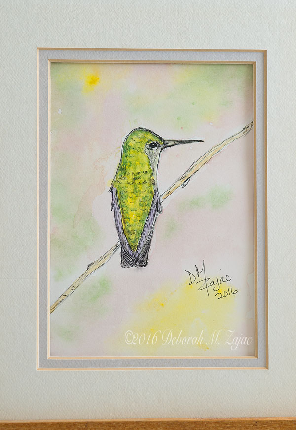Watercolor- Anna's Hummingbird