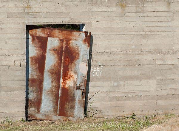 Rusty Door- Photography
