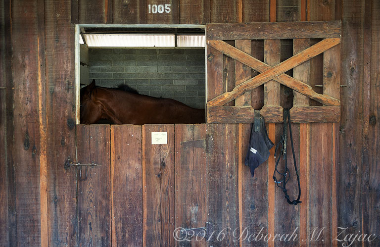 Stable Door 1005