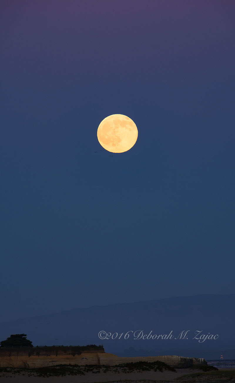 Full Buck Moon Twilight