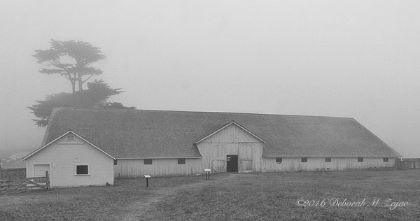 Long Barn Pierce Ranch