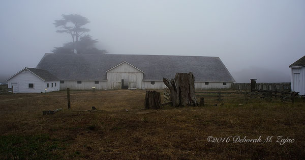 Dairy Barn Pierce Point Ranch