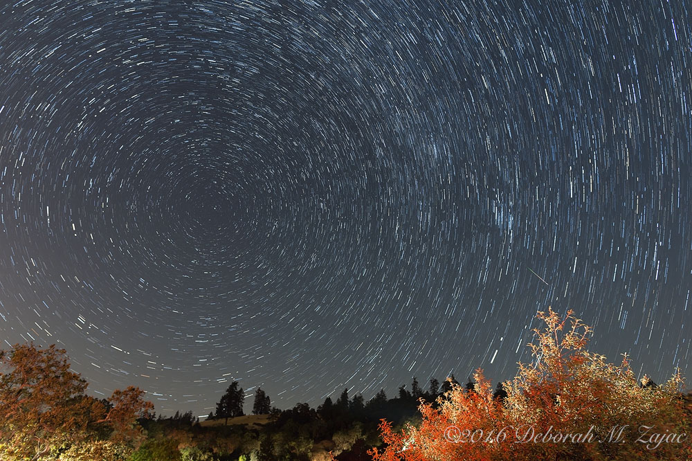 Star Trails with Perseid Meteor
