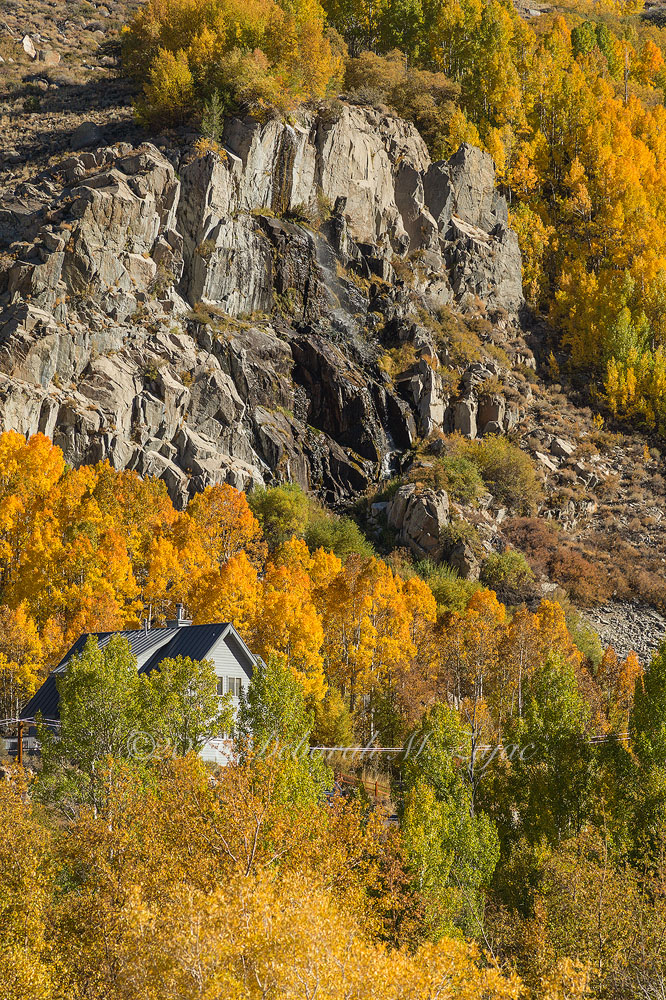 Misty Fall South Fork Bishop Crk