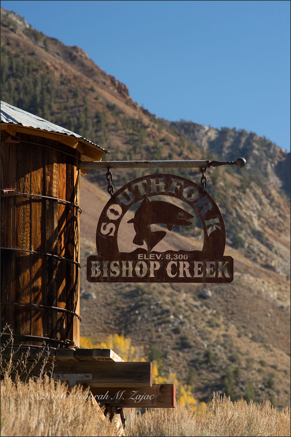South Fork Bishop Creek Canyon