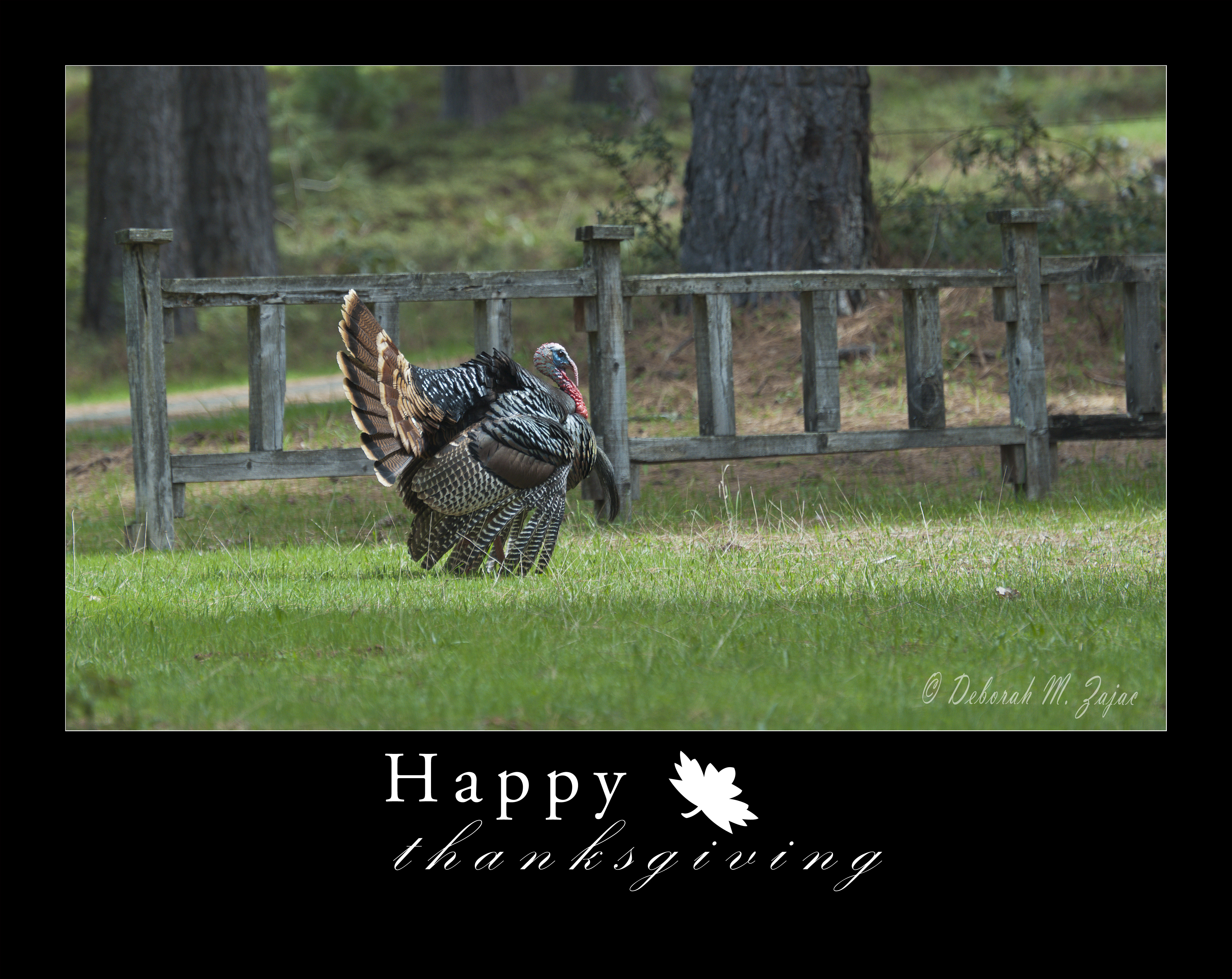 May your holiday be filled with love and laughter!