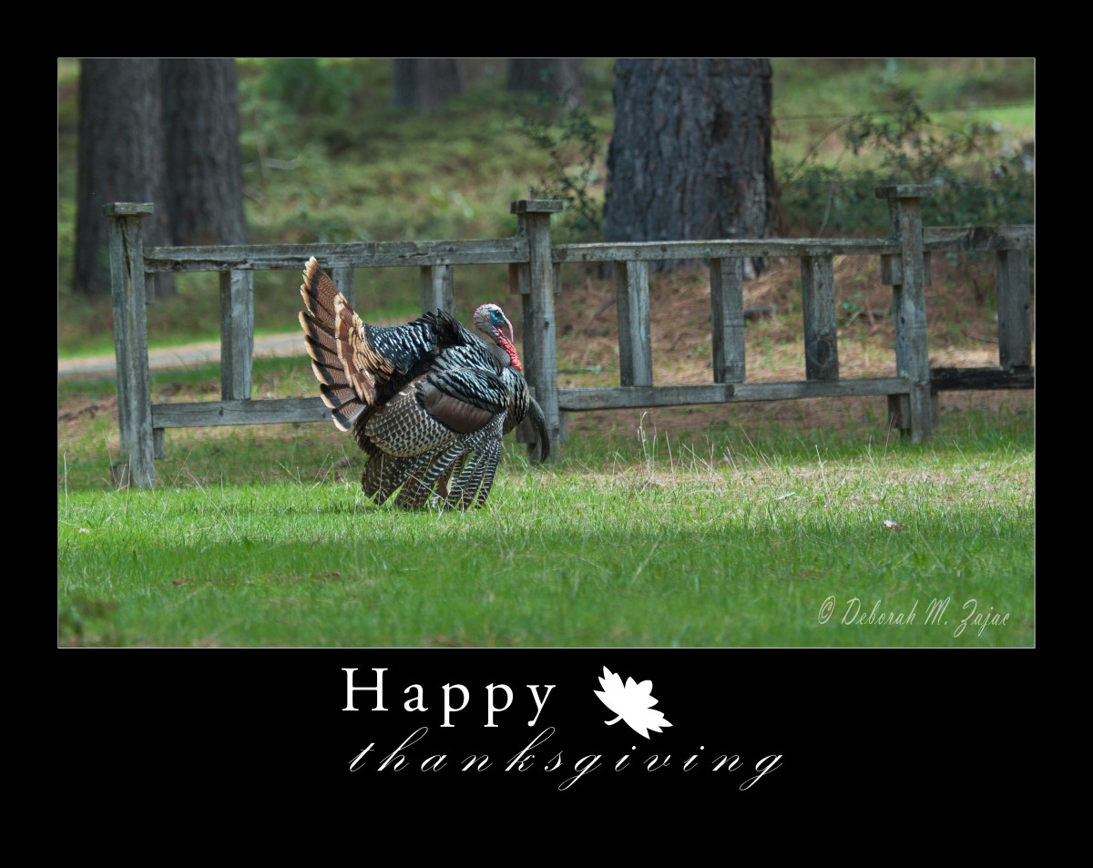 May your holiday be filled with love and laughter!