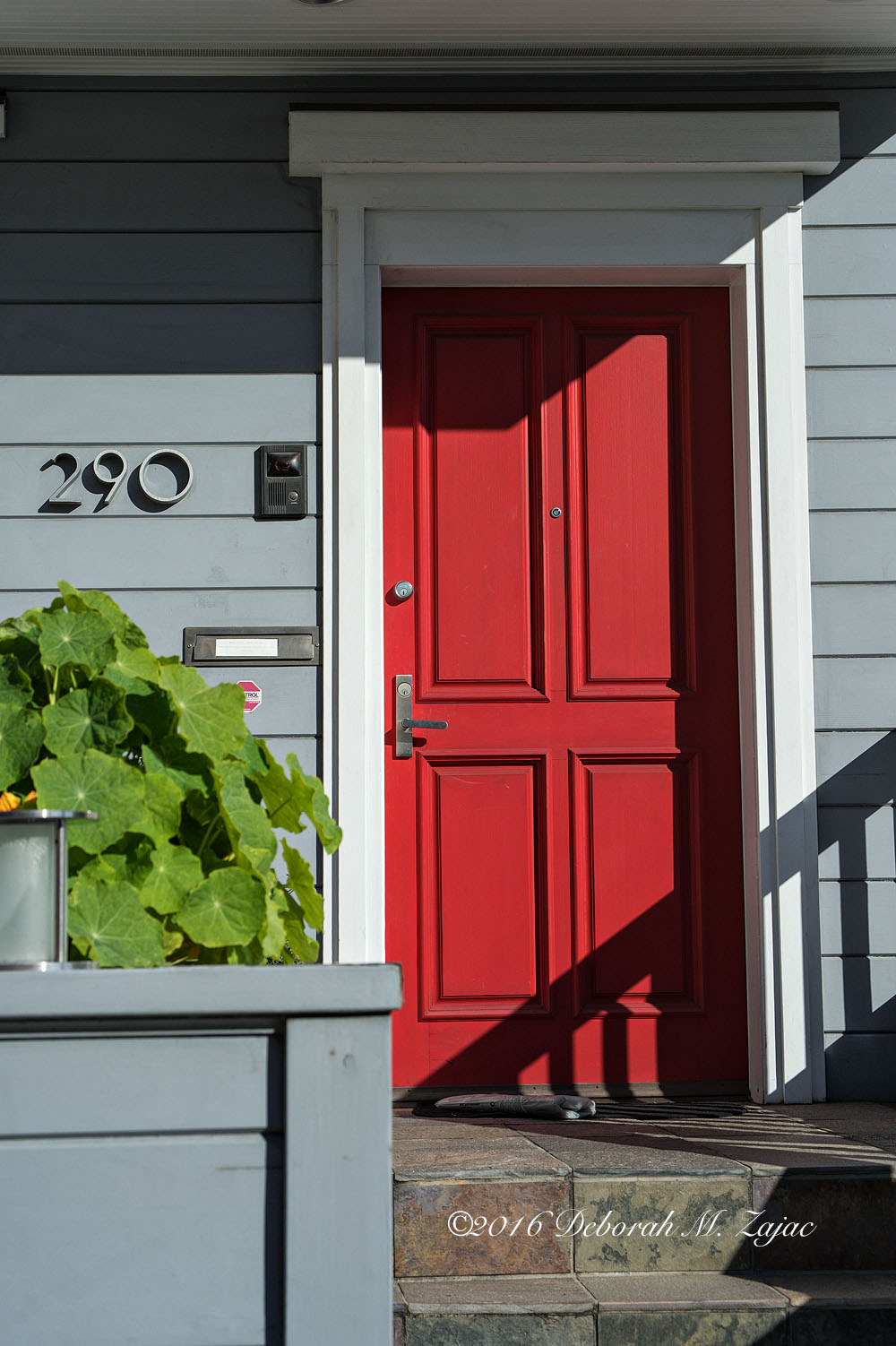 Red Door N°290