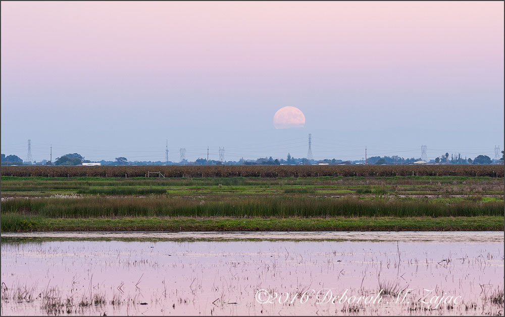 Rising Super Moon