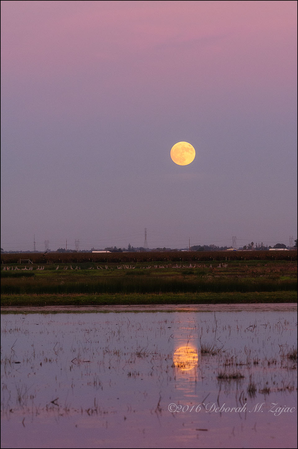 super-moon-and-reflection