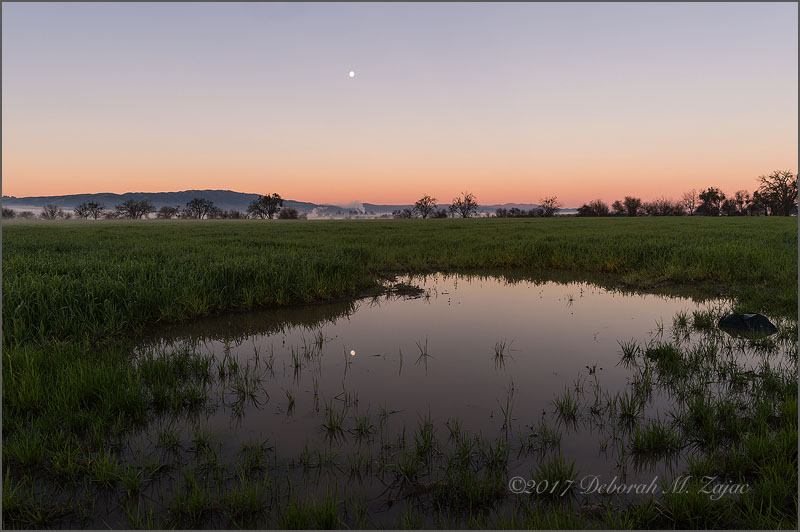 Mist, Moonset, Puddle, Reflection