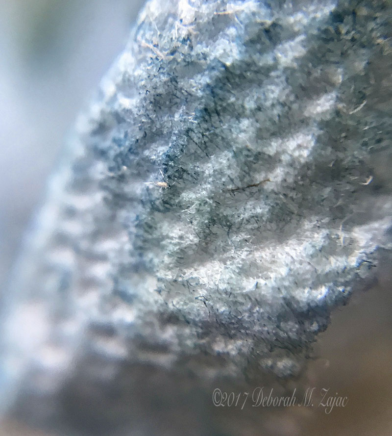 Macro 15x Papertowel