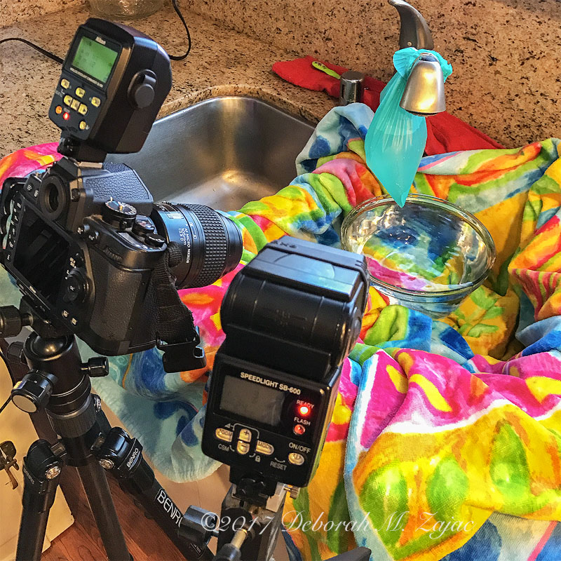 Waterdrop and Splash Set Up