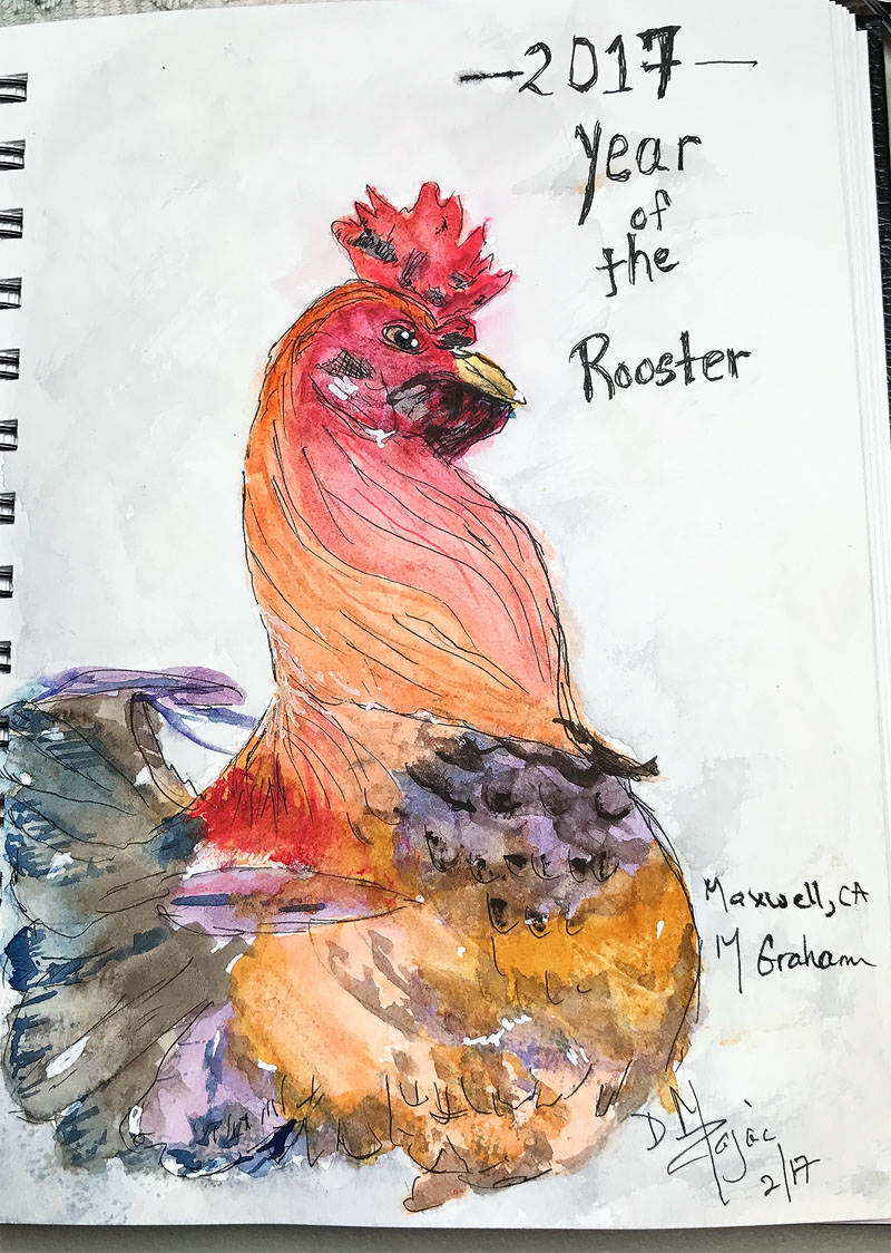 2017 Year of the Rooster