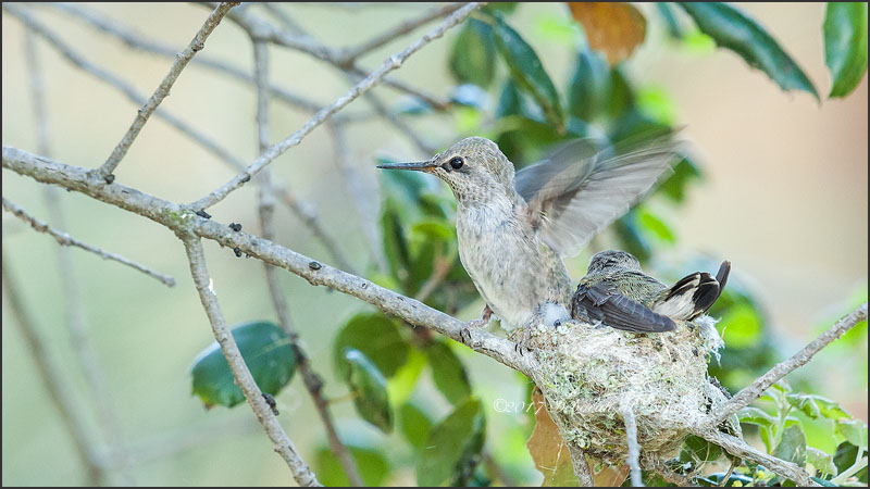 Looking Just Like Mom