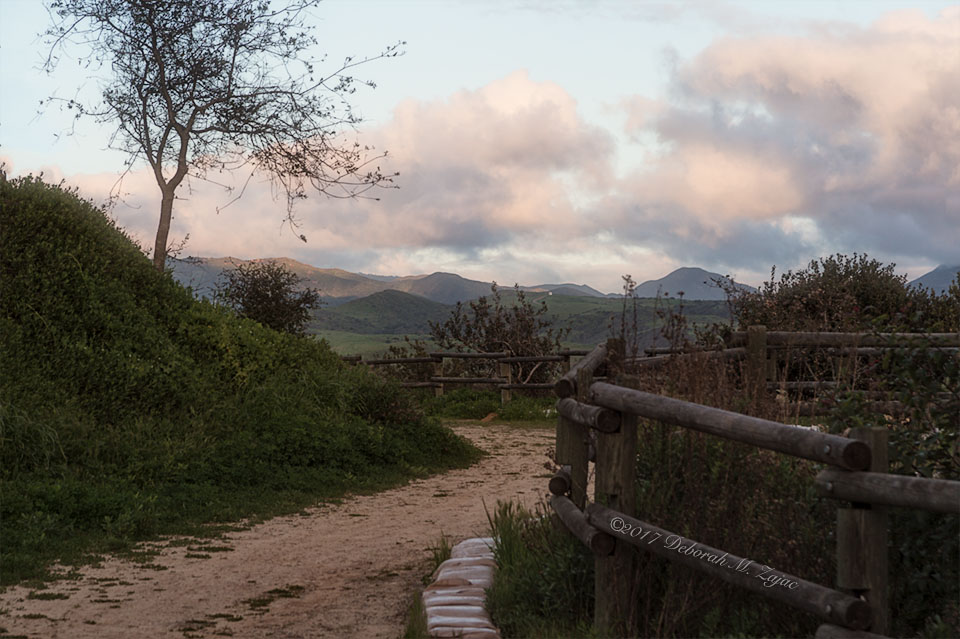 cristianitos-trail_dmz9261