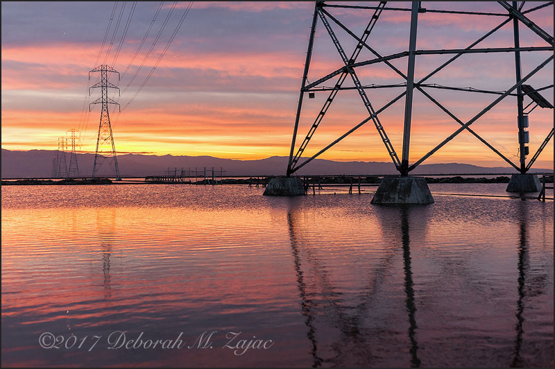 Dawn in the Marshlands