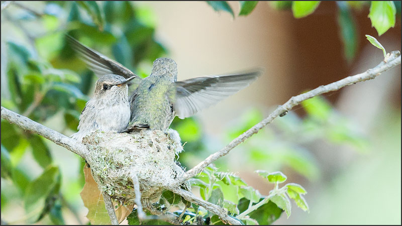 Preparing for Flight