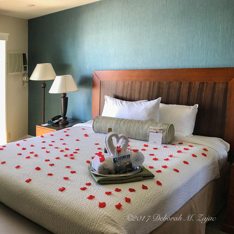 Shore Cliff Hotel Rm 315 Anniversary Week-end