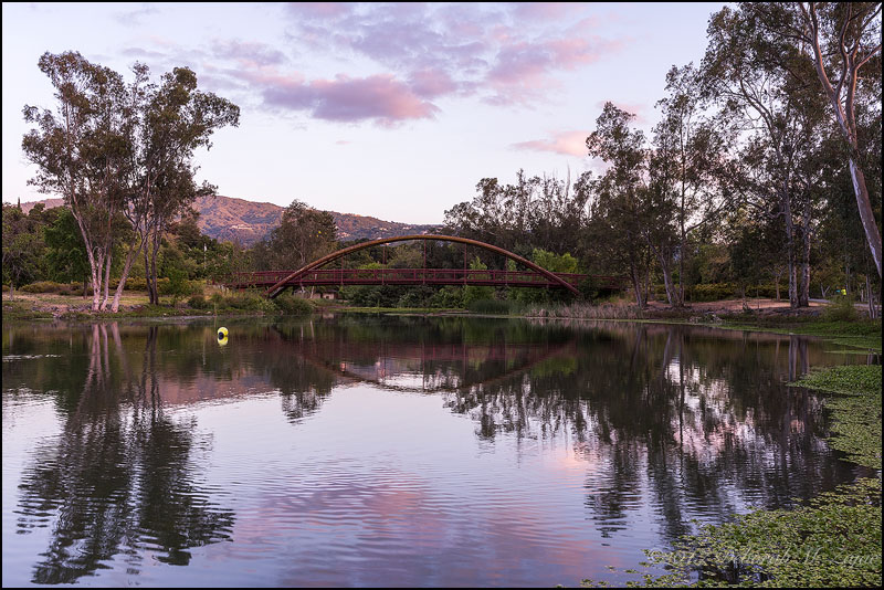 Vasona Lake Sunset Mother's Day
