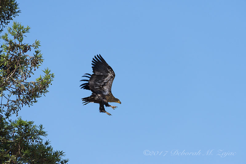 First leap into space!