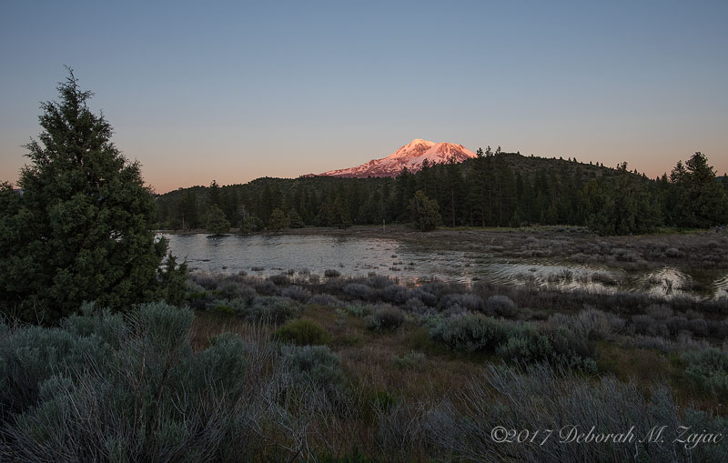 Mt Shasta Alpine Glow