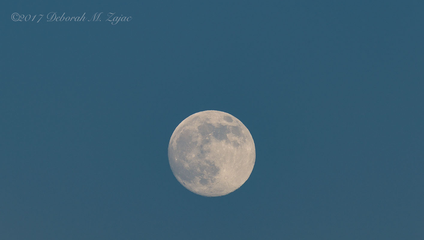 July Buck Moon Waxing 98.8%