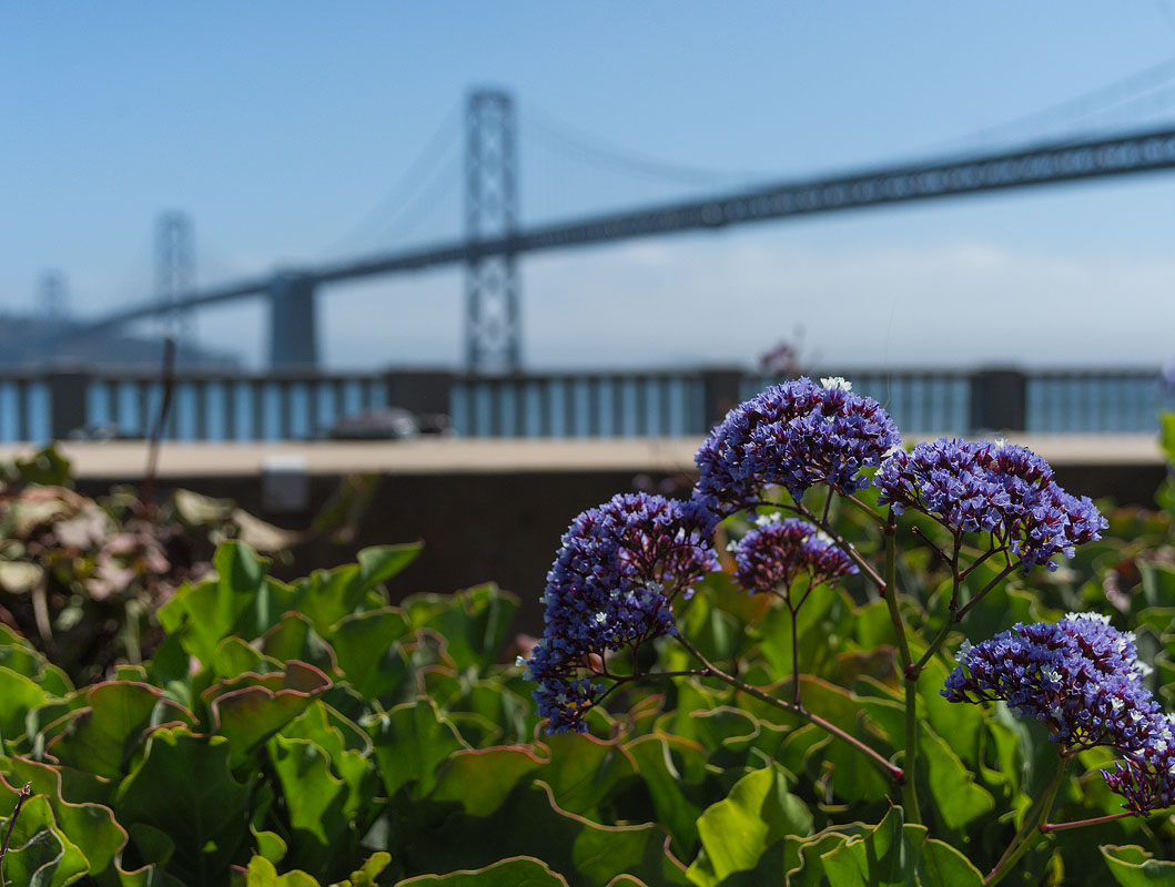 “Sometimes I need only to stand wherever I am to be blessed.