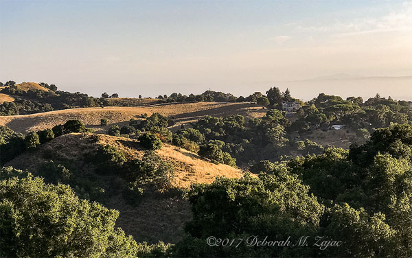 View North from the trail