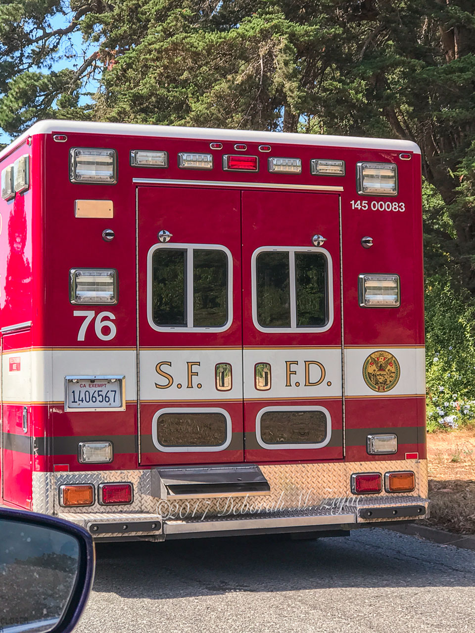 SFFD Truck Doors